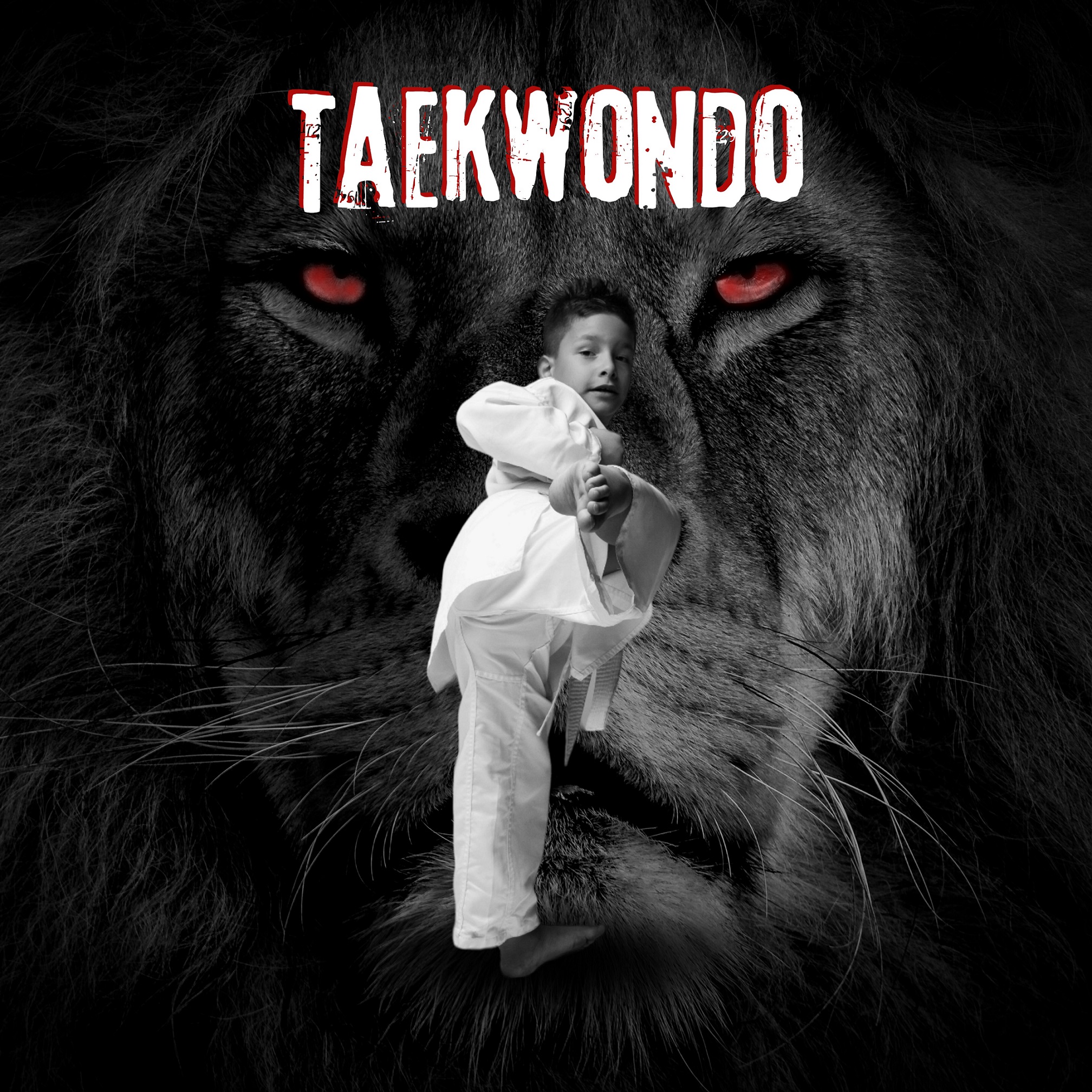 TAEKWONDO INFANTIL